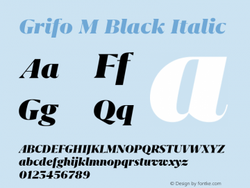 Grifo M Black Italic Version 2.002图片样张