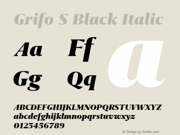 Grifo S Black Italic Version 2.002图片样张