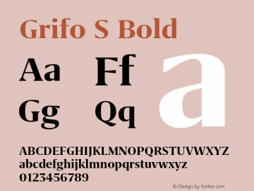 Grifo S Bold Version 2.002图片样张