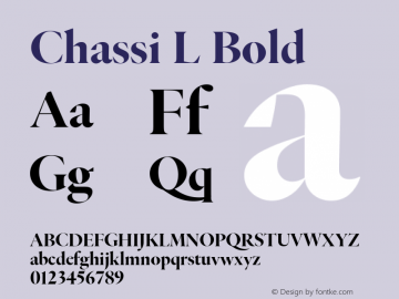 Chassi L Bold Version 1.001图片样张