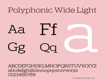 Polyphonic Wide Light Version 1.000;PS 001.000;hotconv 1.0.88;makeotf.lib2.5.64775图片样张