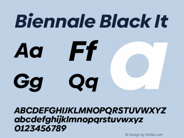 Biennale Black It Version 1.001;hotconv 1.0.109;makeotfexe 2.5.65596图片样张