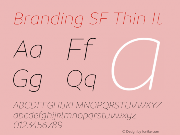 Branding SF Thin It Version 1.000;hotconv 1.0.109;makeotfexe 2.5.65596图片样张