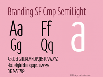 Branding SF Cmp SemiLight Version 1.000;hotconv 1.0.109;makeotfexe 2.5.65596图片样张