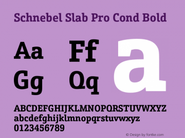 Schnebel Slab Pro Cond Bold Version 1.000;hotconv 1.0.105;makeotfexe 2.5.65592图片样张