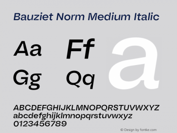 Bauziet Norm Medium Italic Version 1.000;hotconv 1.0.109;makeotfexe 2.5.65596图片样张