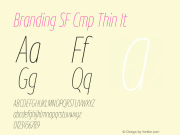 Branding SF Cmp Thin It Version 1.000;hotconv 1.0.109;makeotfexe 2.5.65596图片样张