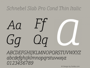 Schnebel Slab Pro Cond Thin Italic Version 1.000;hotconv 1.0.105;makeotfexe 2.5.65592图片样张