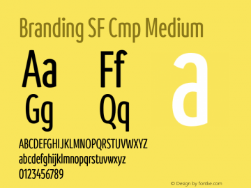 Branding SF Cmp Medium Version 1.000;hotconv 1.0.109;makeotfexe 2.5.65596图片样张