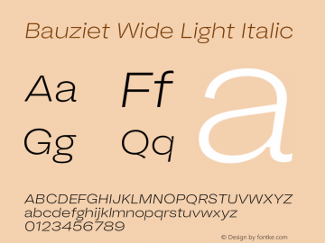 Bauziet Wide Light Italic Version 1.000;hotconv 1.0.109;makeotfexe 2.5.65596图片样张