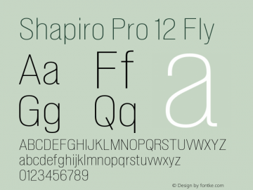 Shapiro Pro 12 Fly Version 4.000图片样张