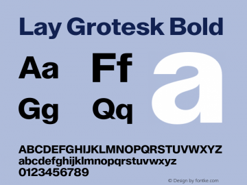 Lay Grotesk Bold Version 1.000 | FøM Fix图片样张