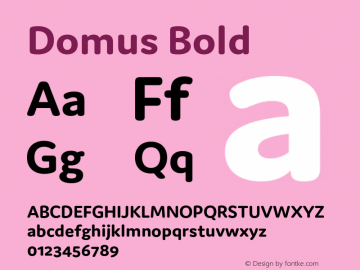 Domus Bold Version 1.000;PS 001.000;hotconv 1.0.88;makeotf.lib2.5.64775图片样张