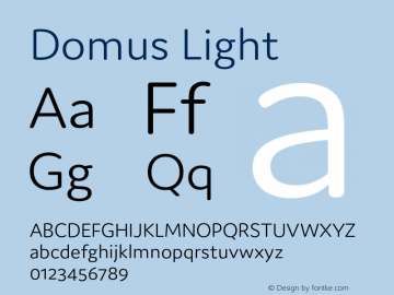 Domus-Light Version 1.000;PS 001.000;hotconv 1.0.88;makeotf.lib2.5.64775图片样张