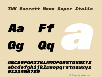 TWK Everett Mono Super Italic Version 3.000; Glyphs 3.0.4, build 3099图片样张