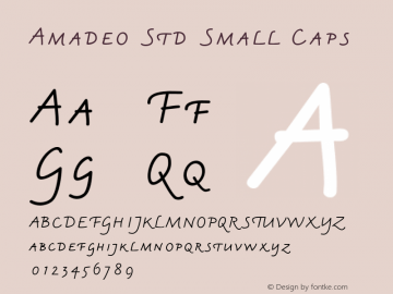 AmadeoStd-Smallcaps Version 1.011;PS 001.000;Core 1.0.38;makeotf.lib1.6.5960图片样张