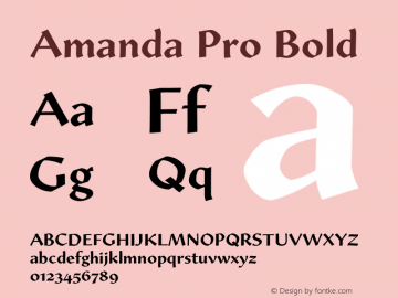 AmandaPro-Bold Version 1.00; 2007图片样张