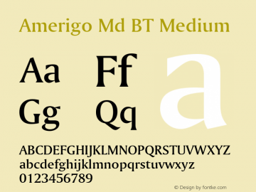 Amerigo Md BT Medium Version 1.01 emb4-OT图片样张