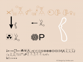 Biosymbols LT Two Version 1.001图片样张