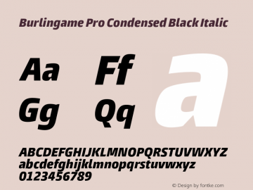 Burlingame Pro Cond Black It Version 1.000图片样张