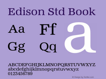 EdisonStd-Book Version 1.00图片样张