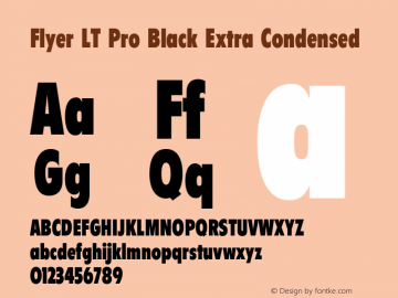 FlyerLTPro-BlackXCondensed Version 1.000 Build 1000图片样张