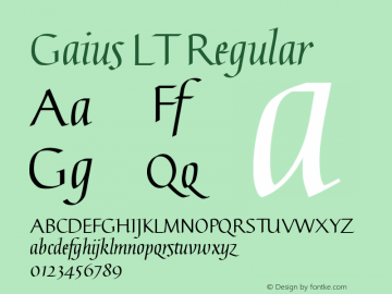 Gaius LT Straight Version 2.01;2005图片样张