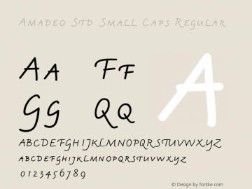Amadeo Std Small Caps Regular Version 1.011;PS 001.000;Core 1.0.38;makeotf.lib1.6.5960 Font Sample