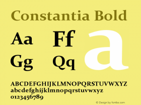 Constantia Bold Version 5.90 Font Sample
