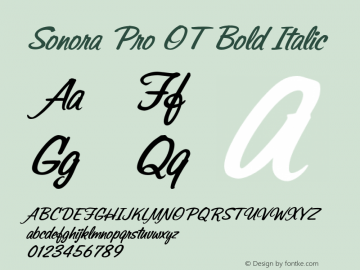 Sonora Pro OT Bold Italic Version 1.000;PS 1.05;hotconv 1.0.38 Font Sample