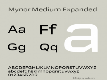 Mynor Medium Expanded Version 001.000 January 2019图片样张