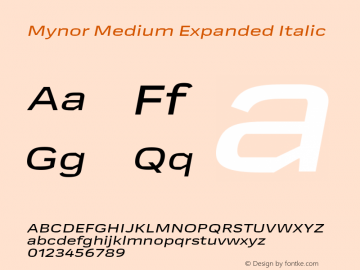 Mynor Medium Expanded Italic Version 001.000 January 2019图片样张