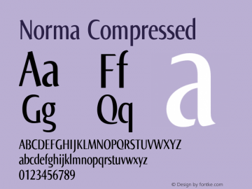 Norma Compressed Version 2.00, build 4, s3图片样张