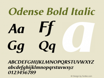 Odense Bold Italic Version 1.00图片样张
