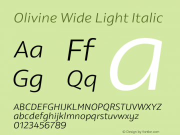 Olivine Wide Light Italic Version 1.000;PS 001.000;hotconv 1.0.88;makeotf.lib2.5.64775图片样张