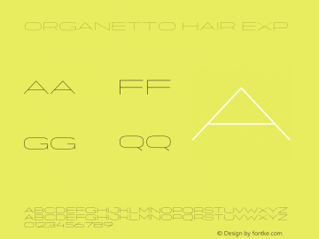 Organetto Hair Exp Version 1.000;hotconv 1.0.109;makeotfexe 2.5.65596图片样张