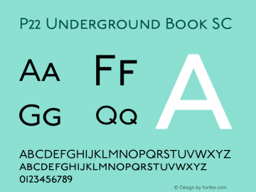 P22UndergroundBookSC Version 3.000图片样张