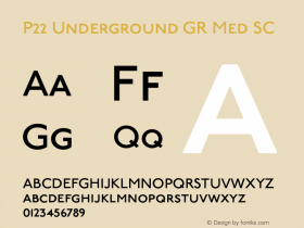 P22UndergroundGRMedSC Version 3.000图片样张