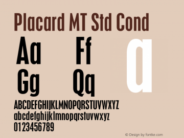 PlacardMTStd-Cond Version 2.000 Build 1000图片样张