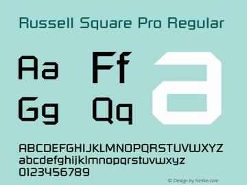 RussellSquarePro Version 1.000 Build 1000图片样张