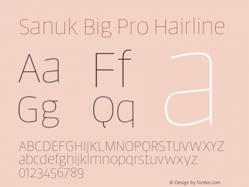 Sanuk Big Pro Hairline Version 7.504; 2016; Build 1024图片样张