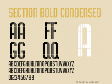 Section Condensed Bold Version 1.00图片样张