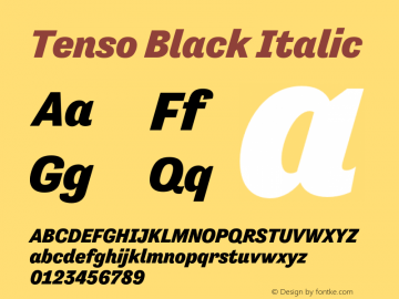 Tenso-BlackItalic Version 1.035图片样张