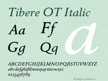 TibereOT-Italic Version 7.504; 2010; Build 1002图片样张