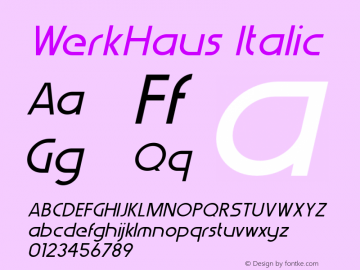 WerkHaus-Italic 1.000图片样张