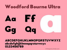 Woodford Bourne Ultra Version 2.000;FEAKit 1.0图片样张