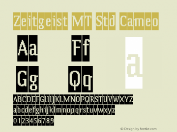 ZeitgeistMTStd-Cameo Version 2.000 Build 1000图片样张