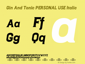 Gin And Tonic PERSONAL USE Italic Version 1.000;FEAKit 1.0图片样张