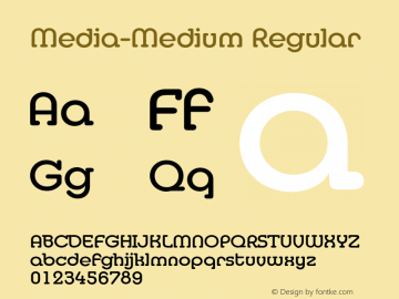 Media-Medium Regular 001.001图片样张