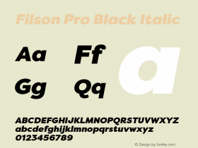 FilsonPro-BlackItalic 1.000图片样张